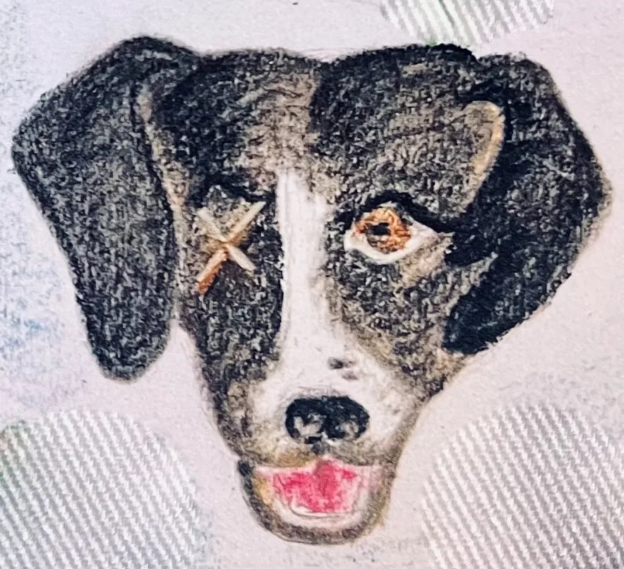 Liz's drawing of Davis, a black and white dog with one eye drawn as a small x