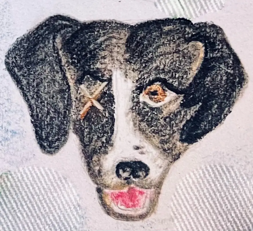 Liz's drawing of Davis, a black and white dog with one eye drawn as a small x